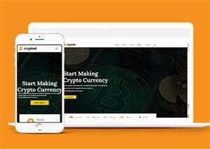 比特币加密货币类网站模板下载 - 项目资源网