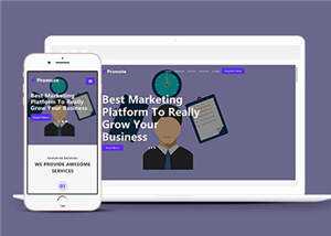 简约业务服务展示响应式网页模板下载 - 项目资源网