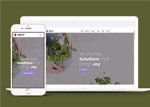 简约创意商业解决方案动态响应式网页模板下载 - 项目资源网