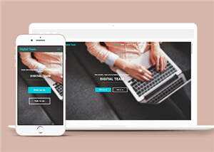 简洁数字团队服务展示响应式网页模板下载 - 项目资源网