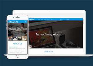 简洁企业咨询服务展示HTML网页模板下载 - 项目资源网