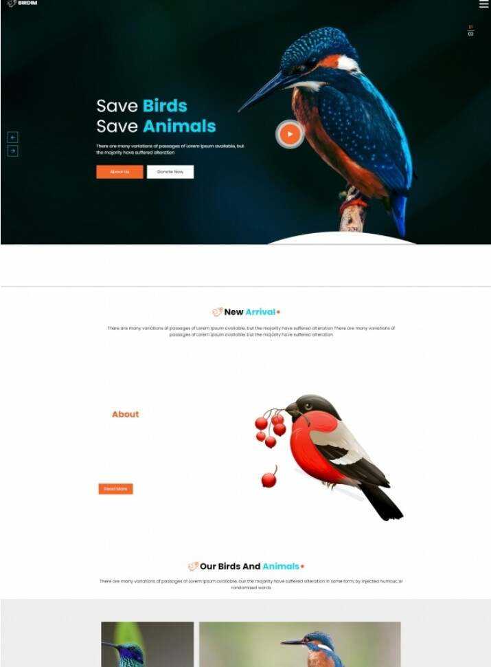 拯救鸟类拯救动物HTML5网站模板 - 项目资源网