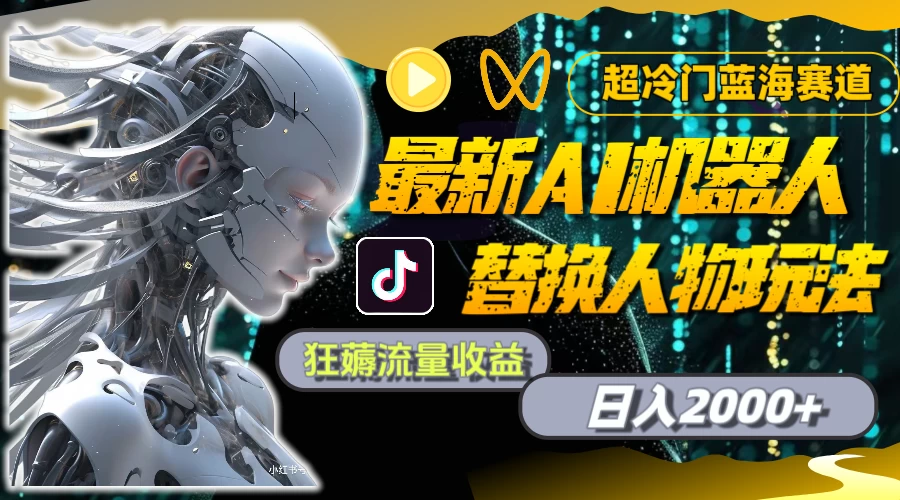 最新AI机器人替换人物玩法，超冷门蓝海赛道，日入2000+，狂薅流量收益 - 项目资源网
