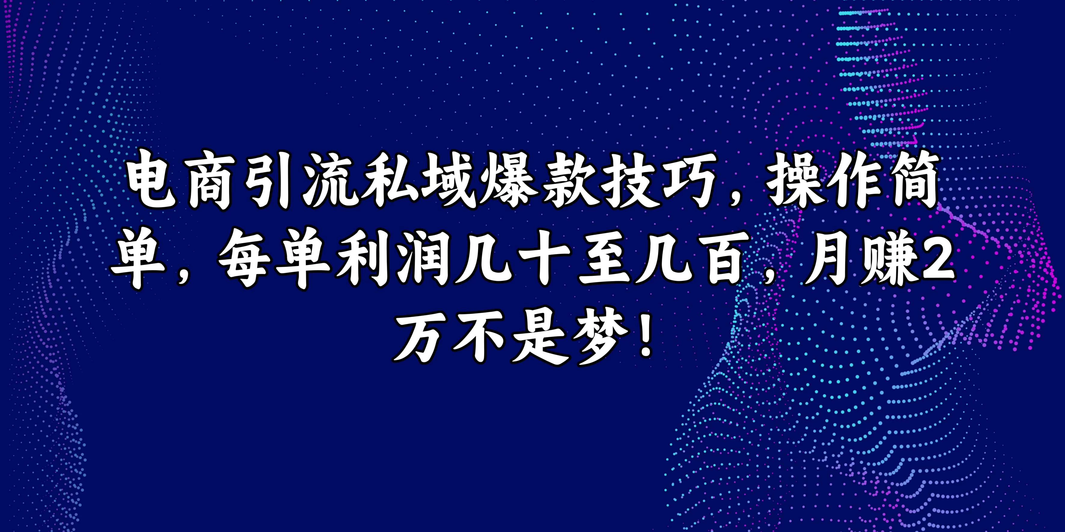 电商引流私域爆款技巧，操作简单，每单利润几十至几百，月赚2万不是梦！ - 项目资源网