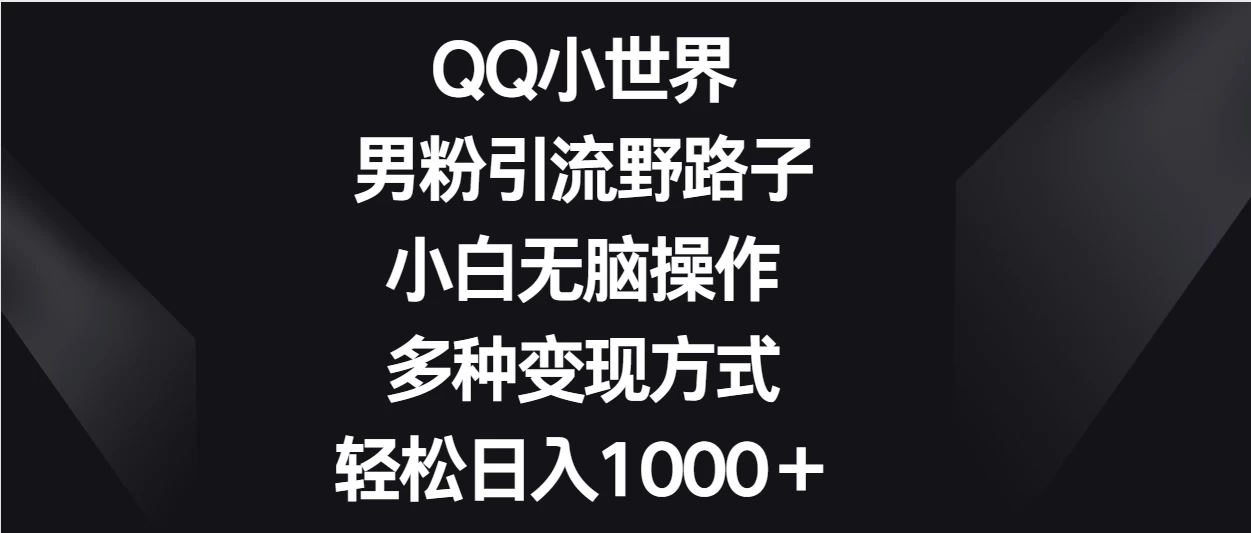 QQ小世界男粉引流野路子，小白无脑操作，多种变现方式轻松日入1000＋ - 项目资源网