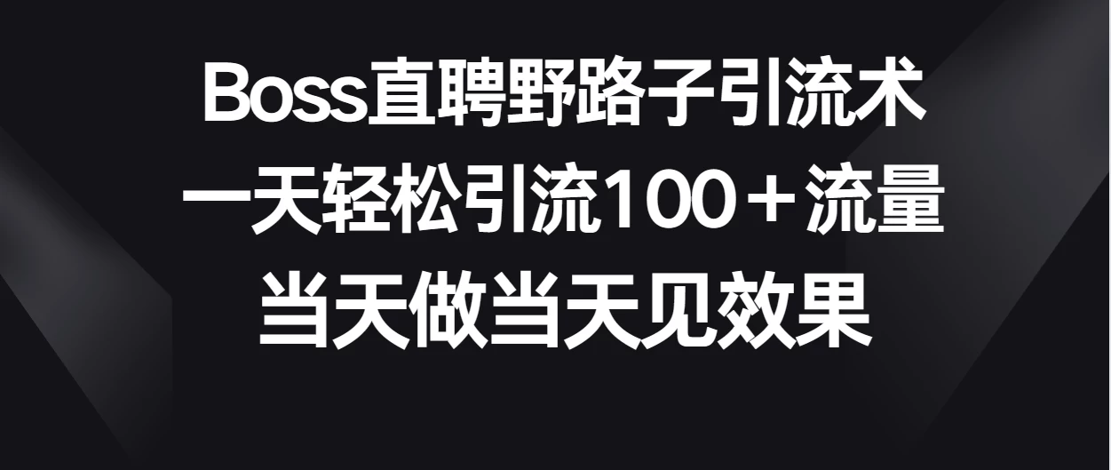 Boss直聘野路子引流术，一天轻松引流100+流量，当天做当天见效果 - 项目资源网