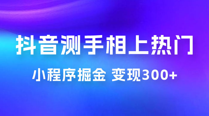 抖音小程序掘金：测手相上热门，当天见收益一小时变现 300+ - 项目资源网