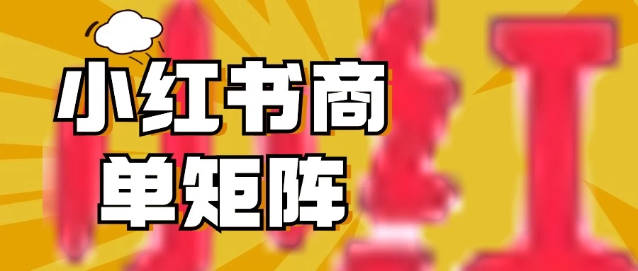 稳定长久项目，小红书商单3天涨千粉批量玩法，2分钟制作一条视频，轻松月入5000+ - 项目资源网