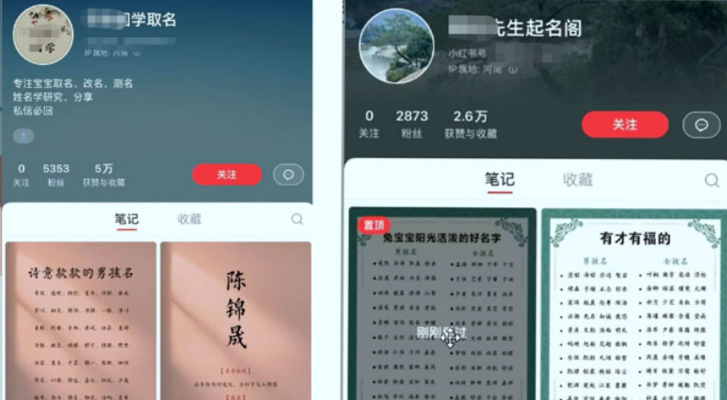 冷门暴利项目：给宝宝起名 一单 200+「教程+工具」 - 项目资源网